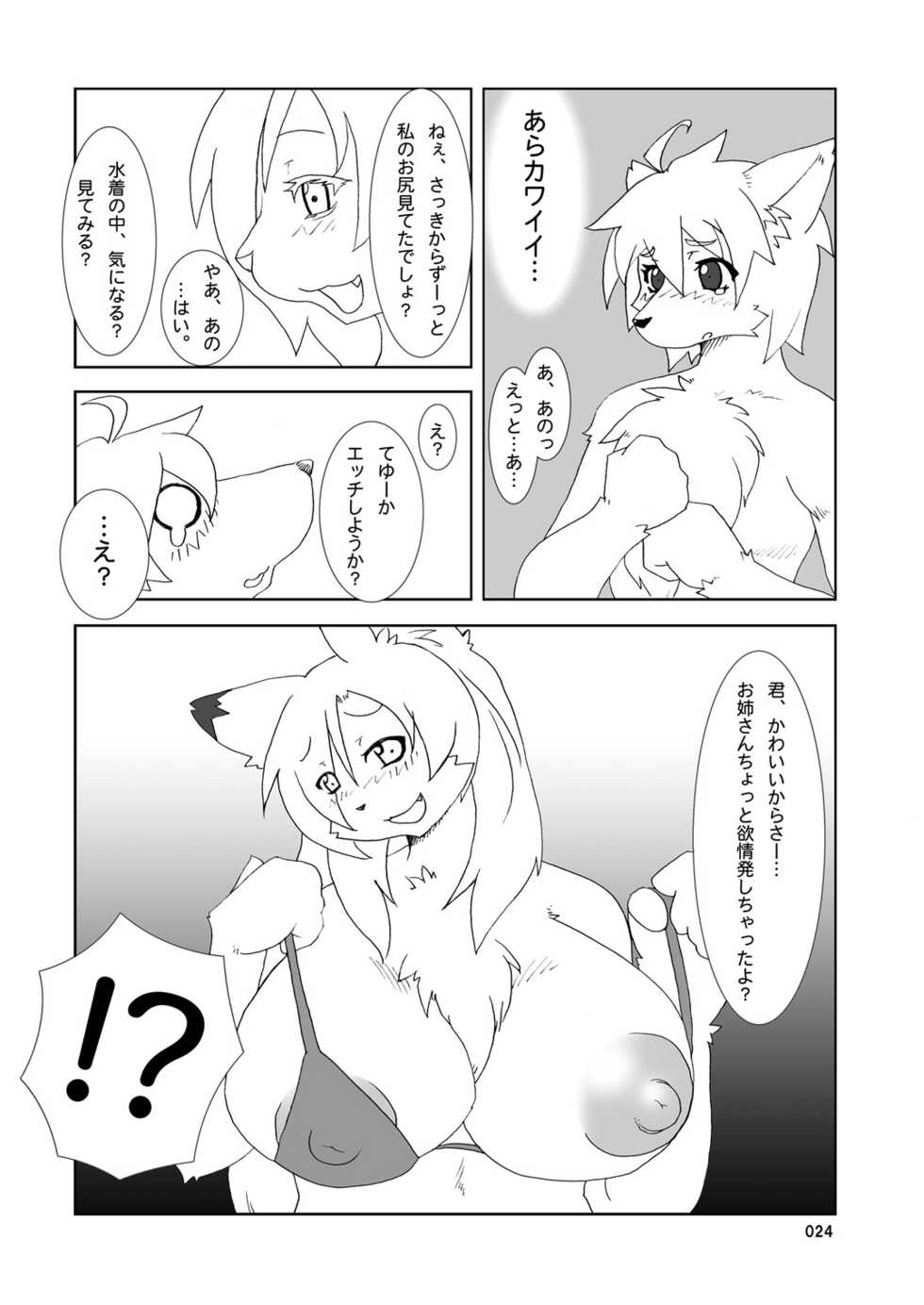 (C78) [TOVIC (Hinpa)] COMIC KEMOSTORE Soukangou - Page 24