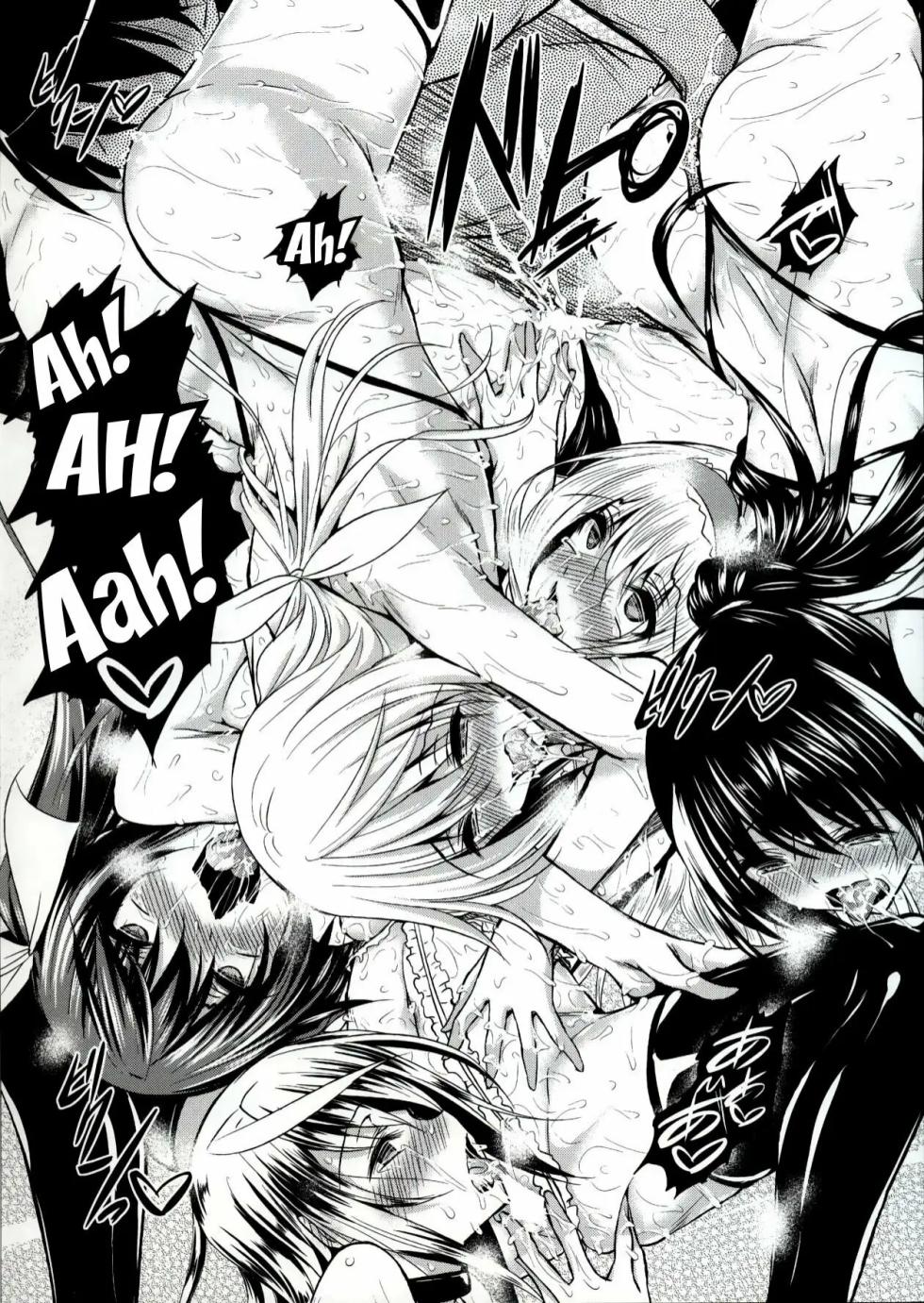 (C85) [Akausagi (Fukuyama Naoto)] ISHR (IS <Infinite Stratos>) [Spanish] - Page 18
