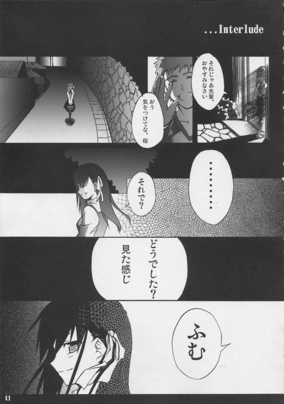 (C69) [Himura Nyuugyou (Himura Kiseki)] SWORD DANCERS (Fate/stay night) - Page 39