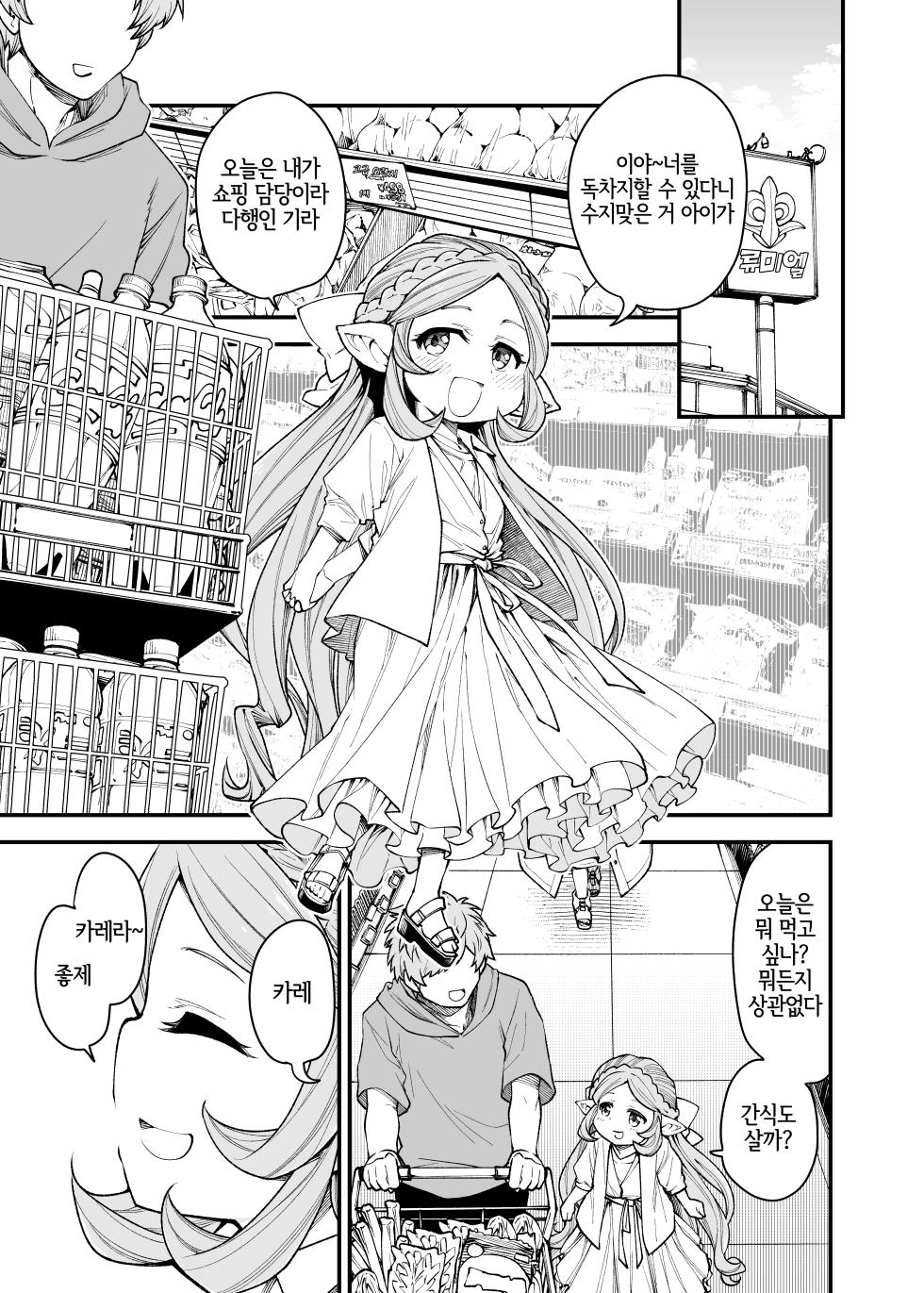[Hiyakake Gohan (Oyabe Ryo)] Gen Paro Harvin Harem Apart Wamdus Raihou Hen (Granblue Fantasy) [Korean] [Digital] [LWND] - Page 4