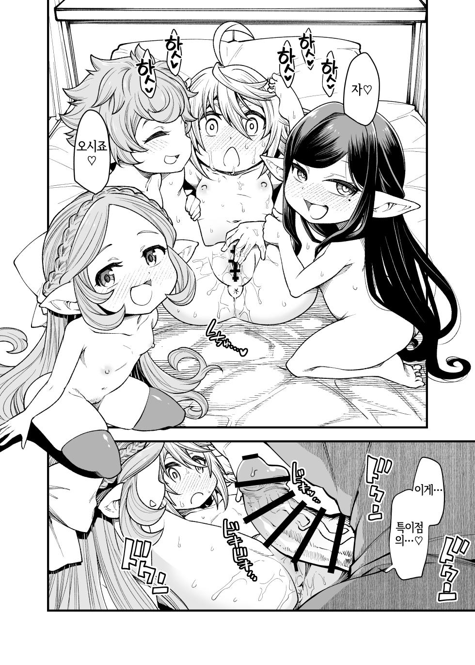 [Hiyakake Gohan (Oyabe Ryo)] Gen Paro Harvin Harem Apart Wamdus Raihou Hen (Granblue Fantasy) [Korean] [Digital] [LWND] - Page 15