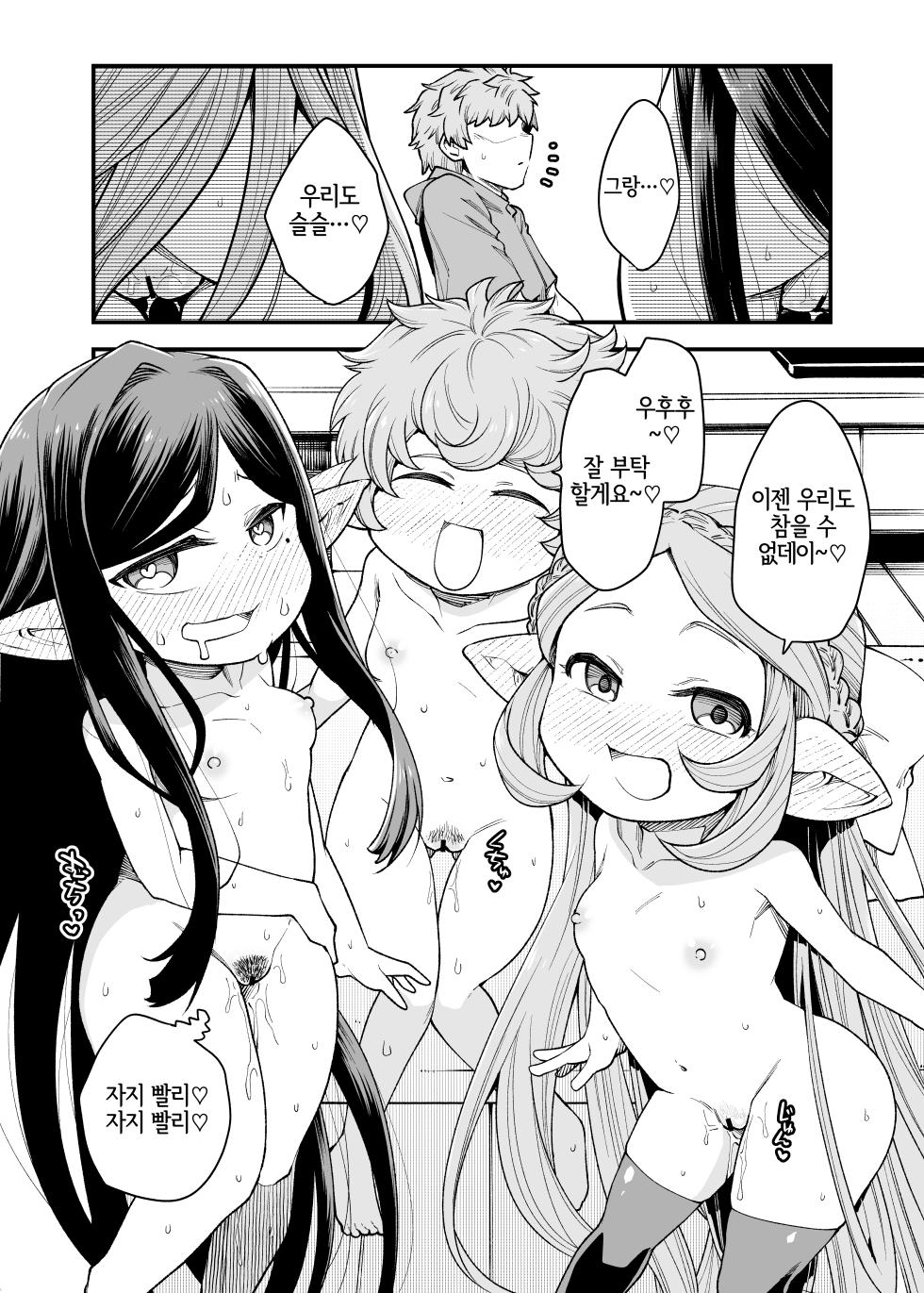 [Hiyakake Gohan (Oyabe Ryo)] Gen Paro Harvin Harem Apart Wamdus Raihou Hen | 현실 배경 하빈 하렘 아파트 웜듀스 내방편 (Granblue Fantasy) [Korean] [LWND] [Digital] - Page 21
