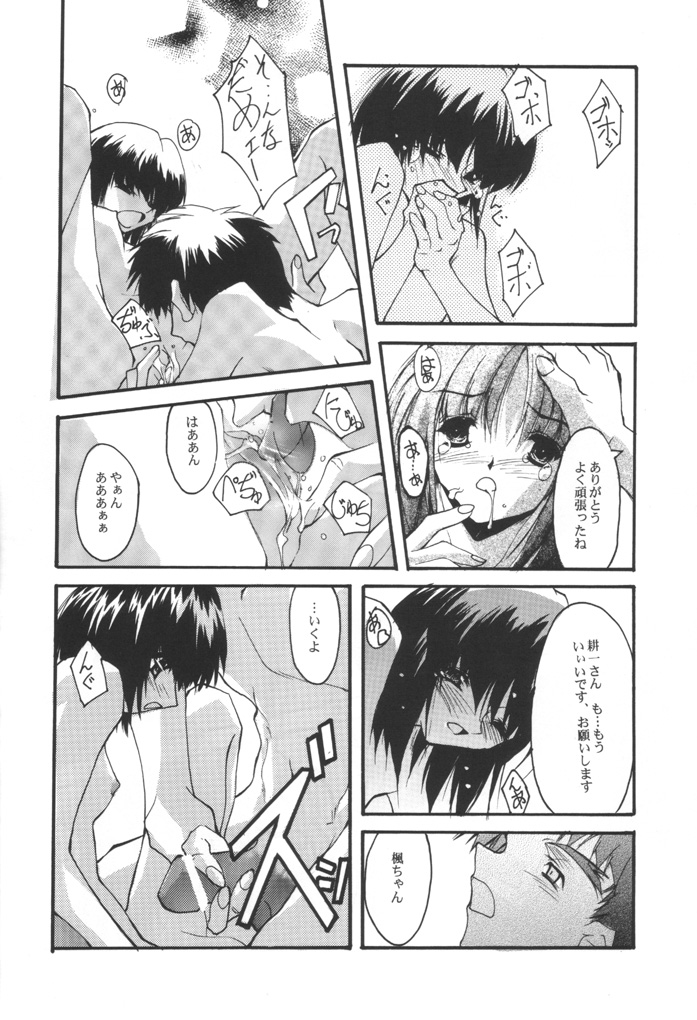 (C60) [Ryu-Seki-Do (Nagare Hyo-go)] KIZUNA 3 VULMUS (Kizuato, Comic Party) - Page 17