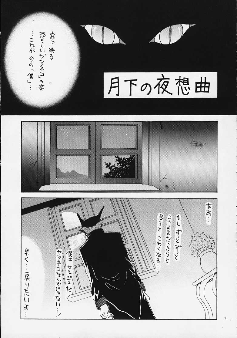 (C58) [Keiji in Cage (Azamino Keiji)] Yasoukyoku (Chrono Cross) [Incomplete] - Page 6