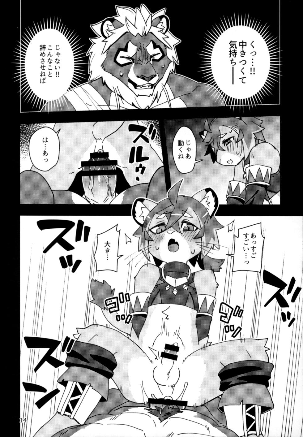 (Kemoket 11) [Harugoya (Harusuke)] Shishitantan (World Flipper) - Page 13