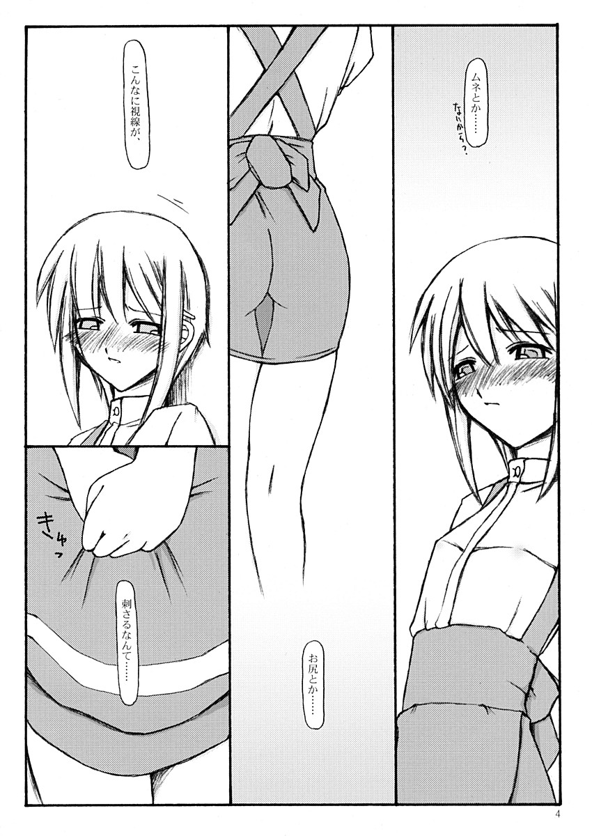 (C63) [Sasaduka (Riuichi)] Peaceful - Page 3