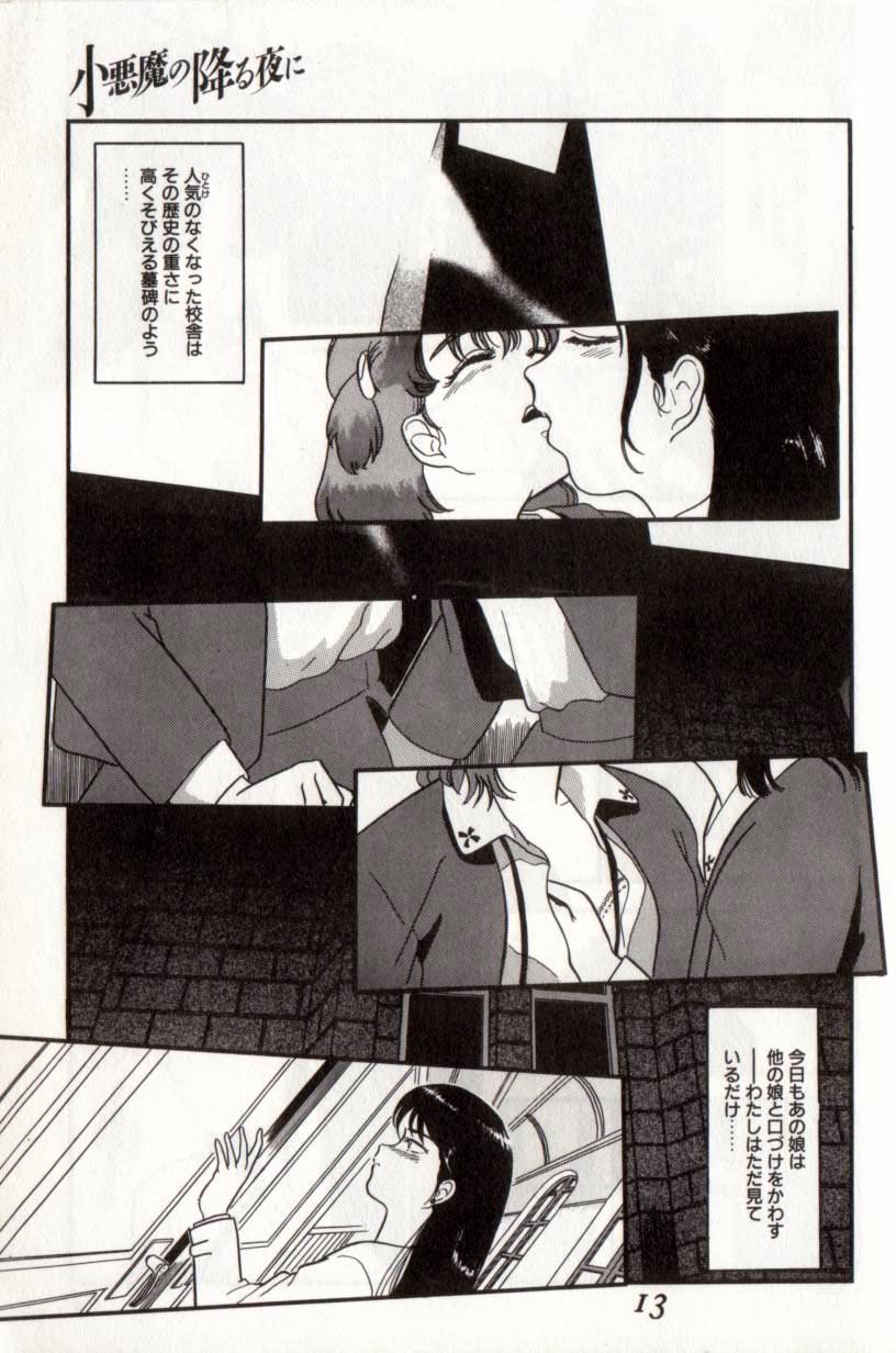 [Tomiaki Yuu] Koakuma no Furu Yoru ni - Page 13