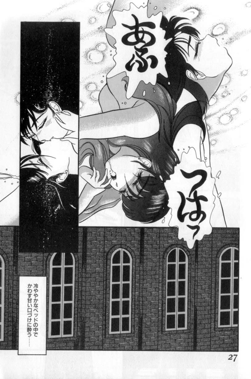 [Tomiaki Yuu] Koakuma no Furu Yoru ni - Page 27