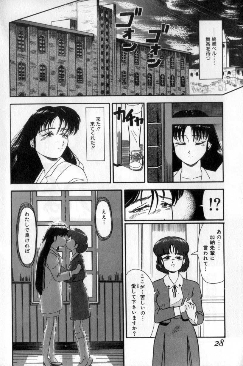 [Tomiaki Yuu] Koakuma no Furu Yoru ni - Page 28