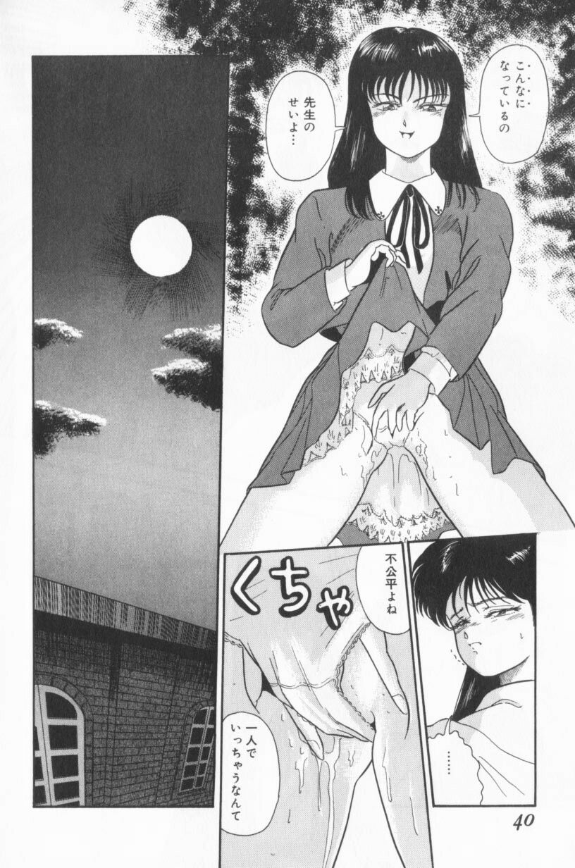 [Tomiaki Yuu] Koakuma no Furu Yoru ni - Page 40