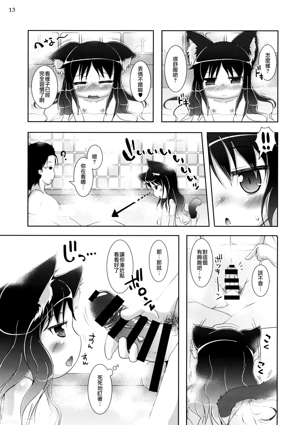 (C85) [Cat Expert (Nekousa)] Neko Puni! vol.10 [Chinese] [CE家族社] - Page 13
