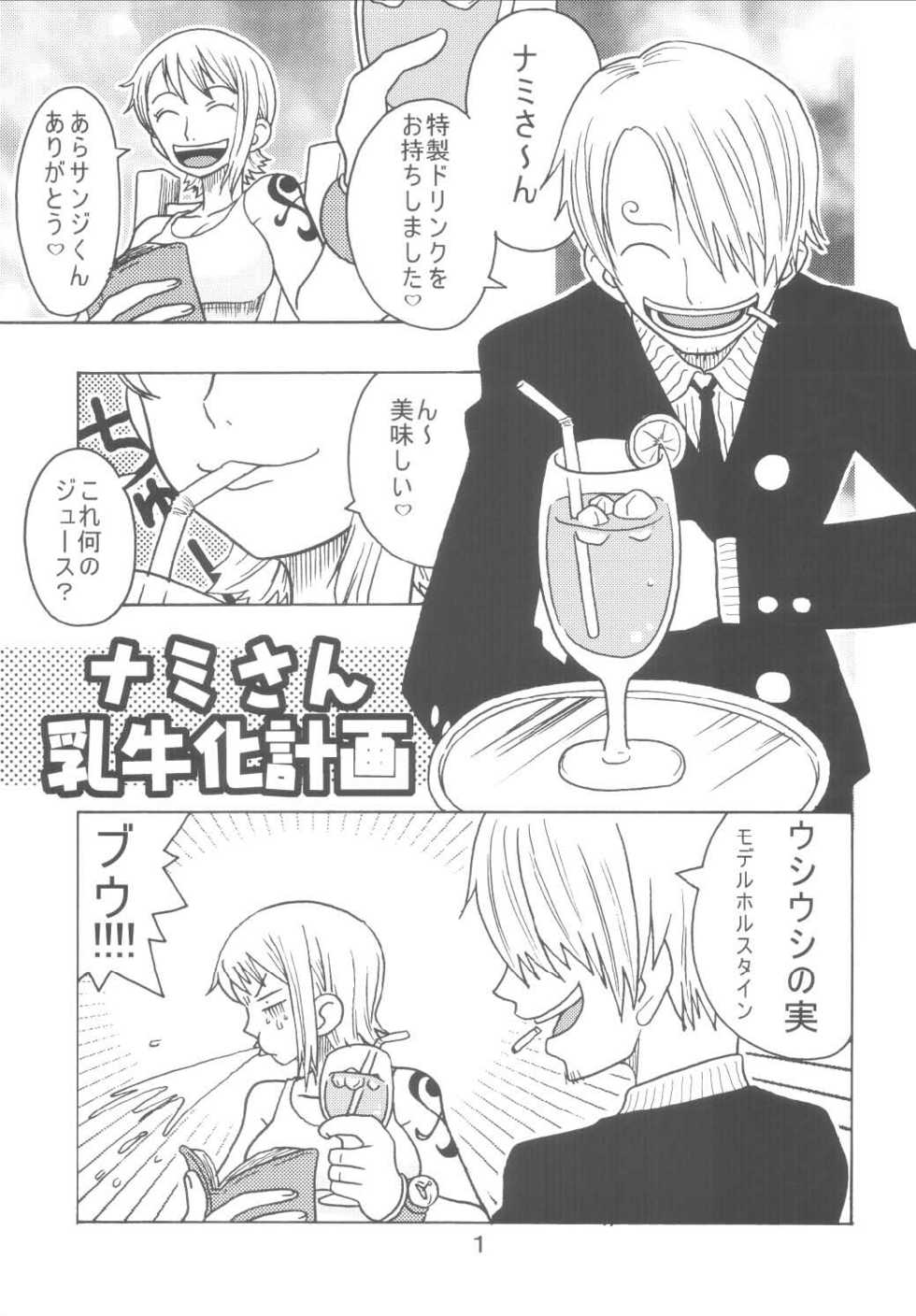 (C66) [ACID-HEAD (Misutake, Murata.)] Nami no Koukai Nisshi Special (One Piece) - Page 3