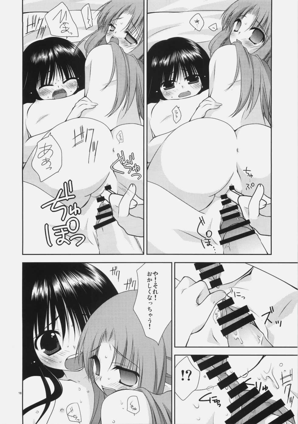 (C78) [Mare Serenitatis (Erika)] Shoujo to Kuroneko no Kochou no Yume (Tsukihime) - Page 18