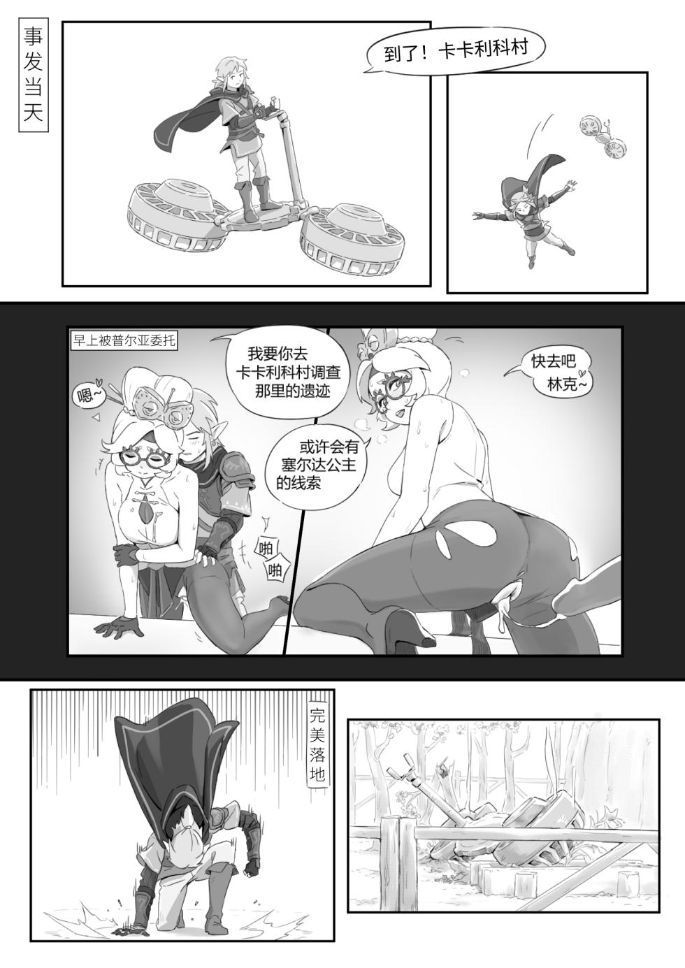 海拉鲁欲望传说 - Page 3