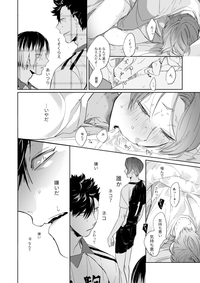 [Mamushi-Rice (Kuchibami)] Koneko mitaini Idaki yosetai (Haikyuu!!) [Digital] - Page 13