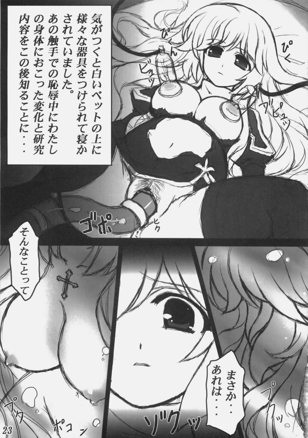 (C78) [Eucalyptus House (Minikoara)] Rebirth Project (Ragnarok Online) - Page 22