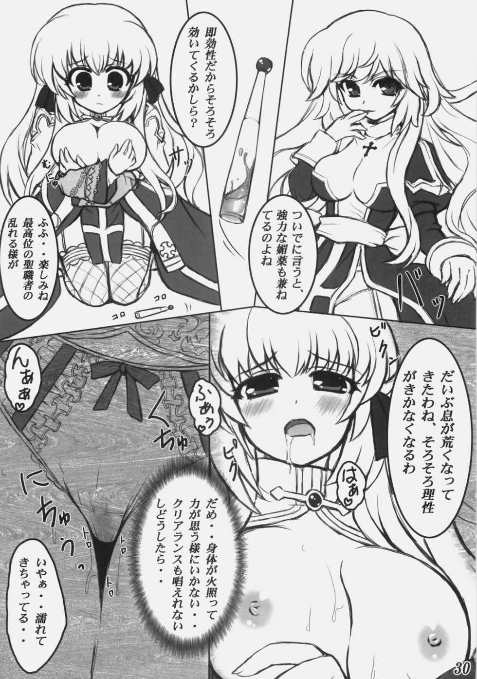 (C78) [Eucalyptus House (Minikoara)] Rebirth Project (Ragnarok Online) - Page 29