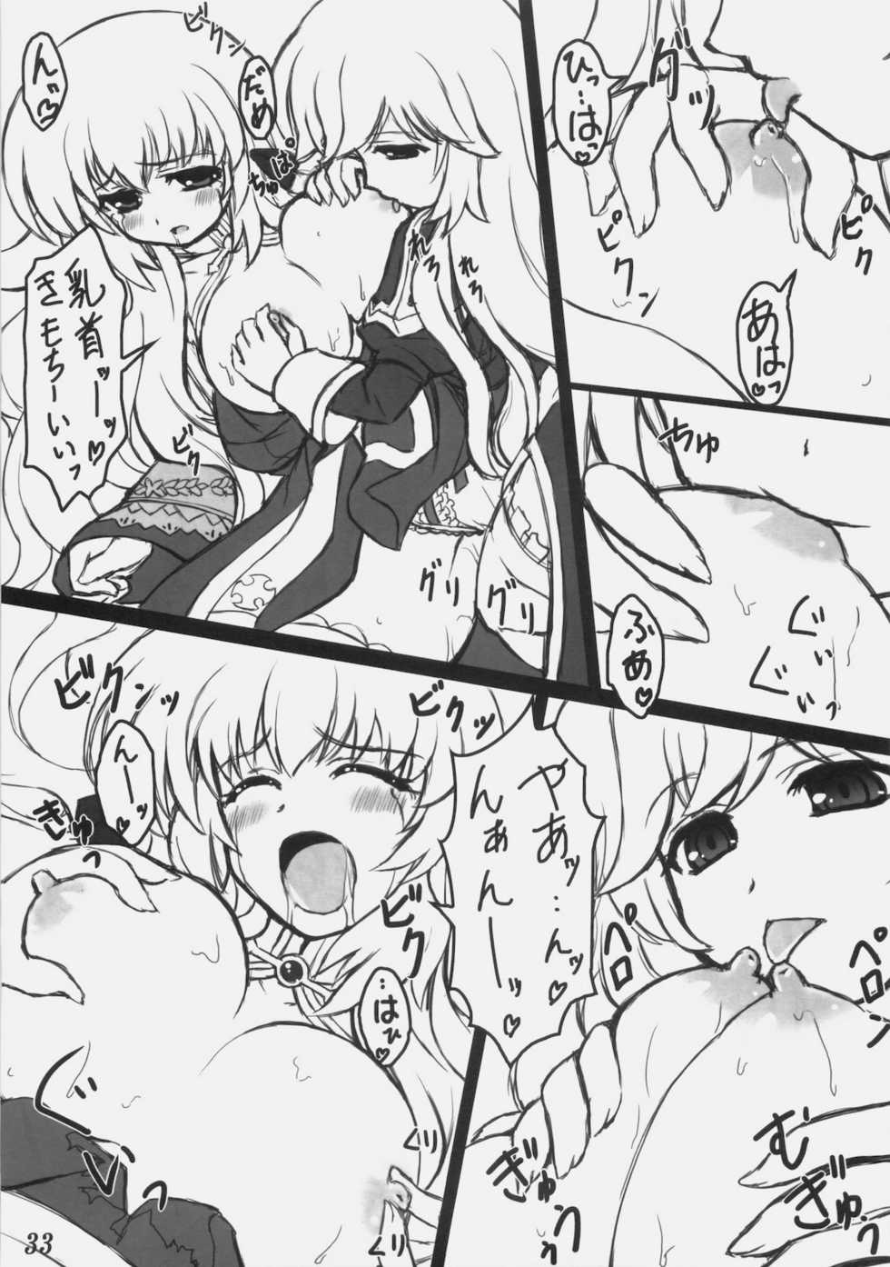 (C78) [Eucalyptus House (Minikoara)] Rebirth Project (Ragnarok Online) - Page 32