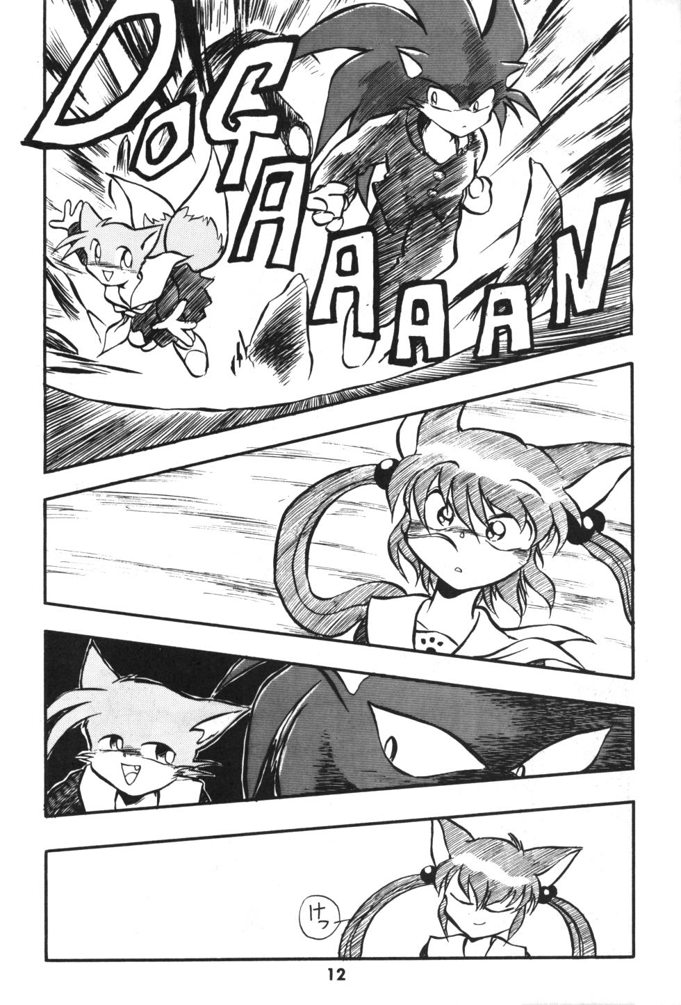 [Various] Shippo ga Fuwa-fuwa! (Sonic the Hedgehog) - Page 11