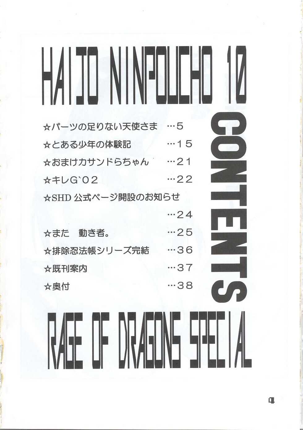 (C63) [SHD (Buchou Chinke, Hiromi)] HAIJO NINPOUCHO 10 (Rage of the Dragons) - Page 3