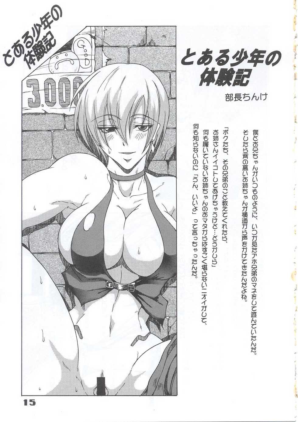 (C63) [SHD (Buchou Chinke, Hiromi)] HAIJO NINPOUCHO 10 (Rage of the Dragons) - Page 14