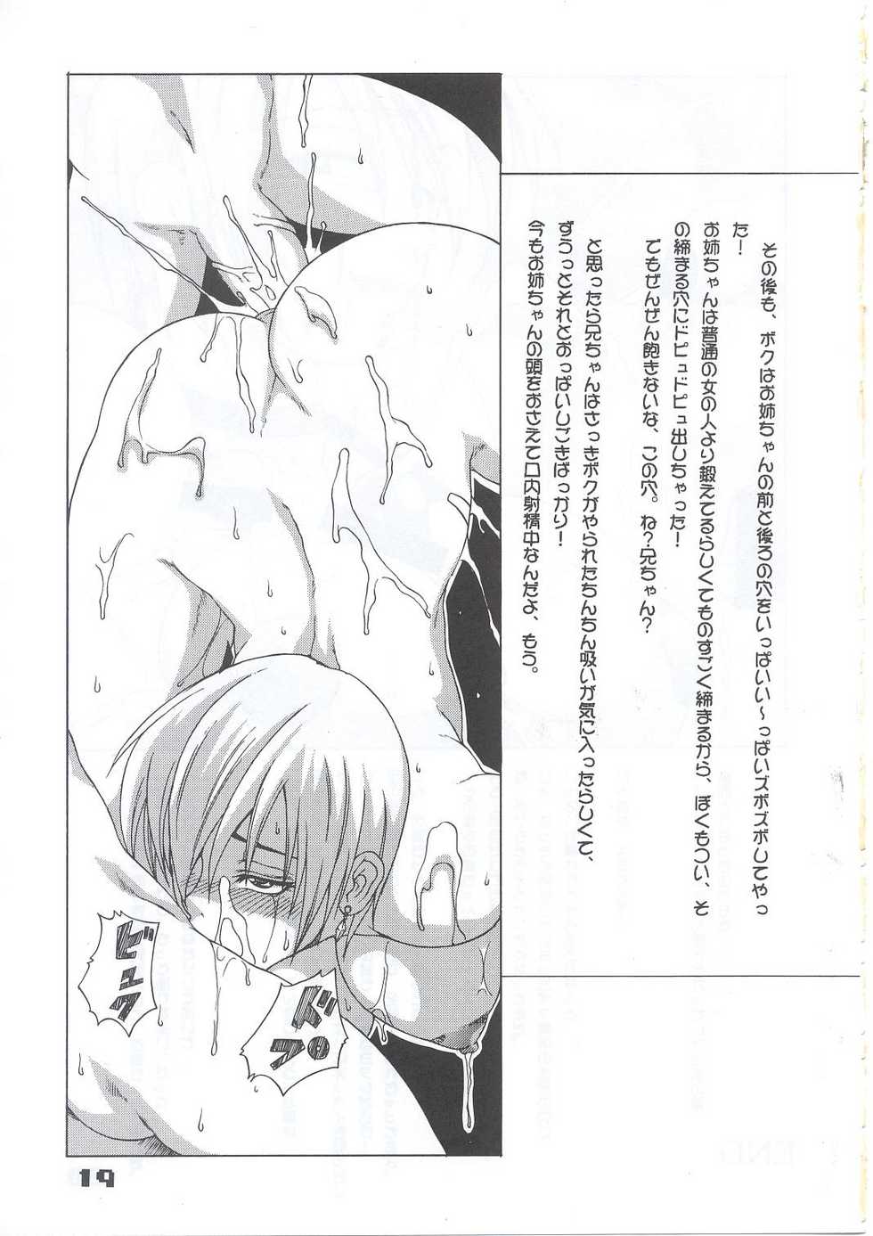 (C63) [SHD (Buchou Chinke, Hiromi)] HAIJO NINPOUCHO 10 (Rage of the Dragons) - Page 18