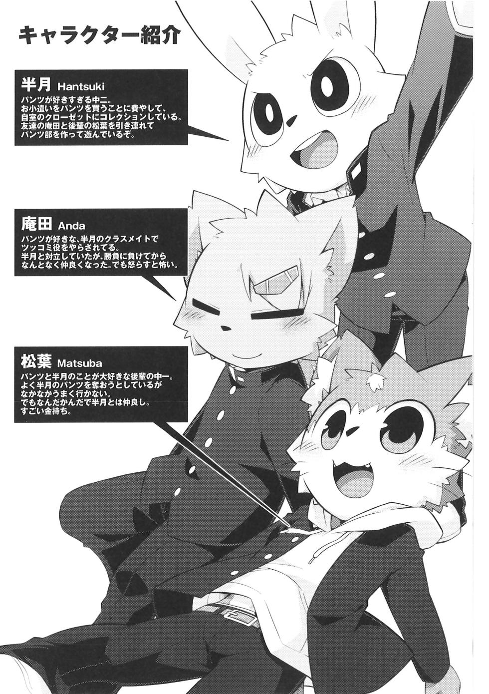 (Kemoket 9.5) [PELL-MELL WORKS (Various)] Pantsu daisuki Hantsuki-kun Tsuduri - Page 19