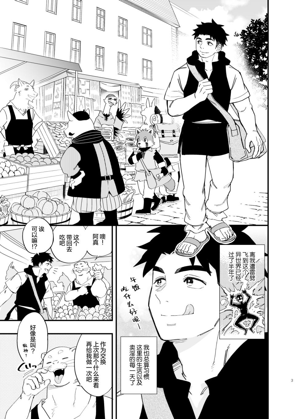 [Draw Two (Draw2)] Dakara Ore wa Isekai de Haru o Uru. 2| 关于我穿越到异世界卖淫的事。2 [Chinese] [马栏山汉化组&桃紫汉化&时羽汉化][正经人类联合汉化组] [Digital] - Page 4