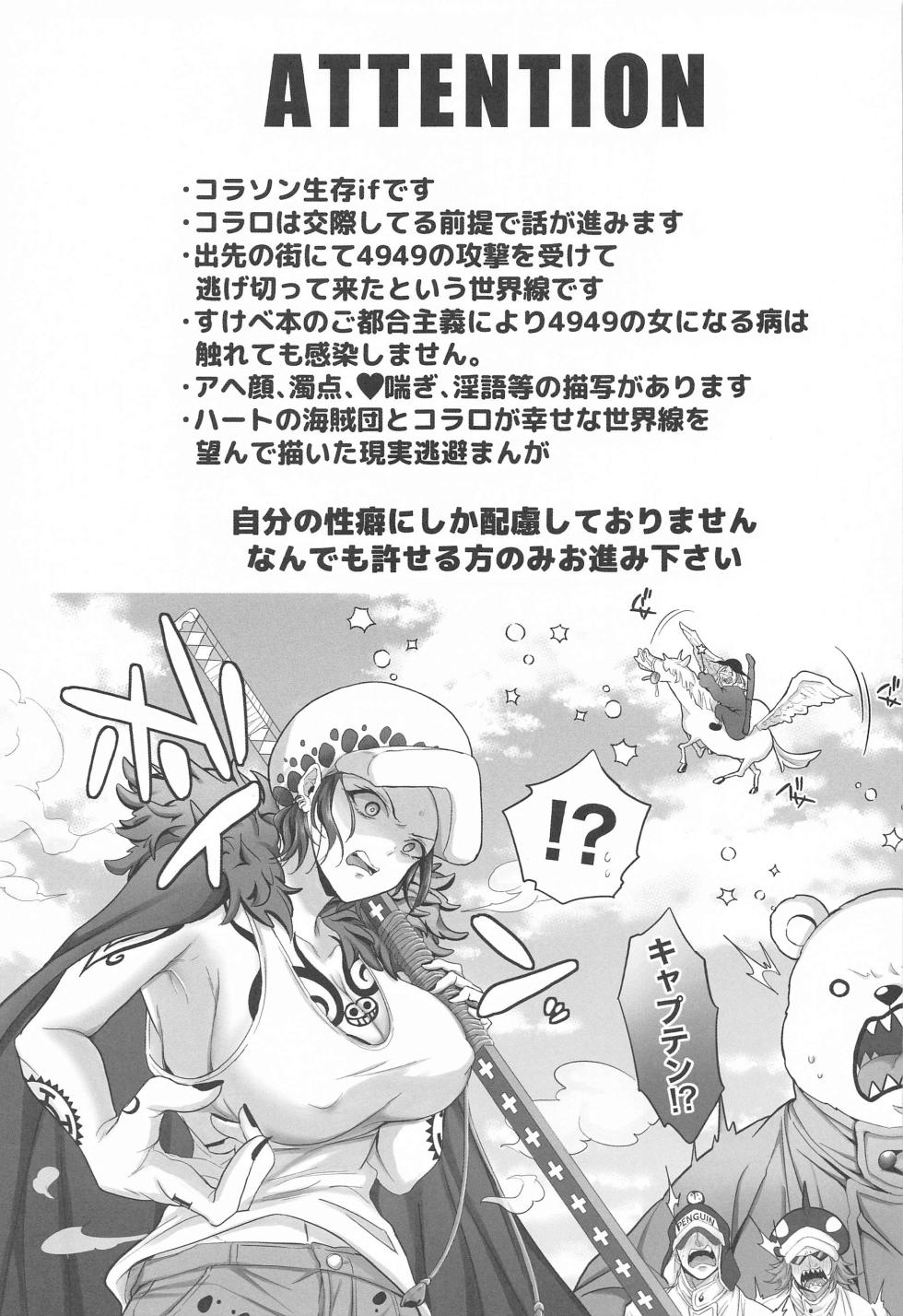 (GRANDLINE CRUISE 31) [Natadecoco Company (Siohuu)] Gekka Bijin ga Saku Koro ni - A queen of the night (One Piece) - Page 2