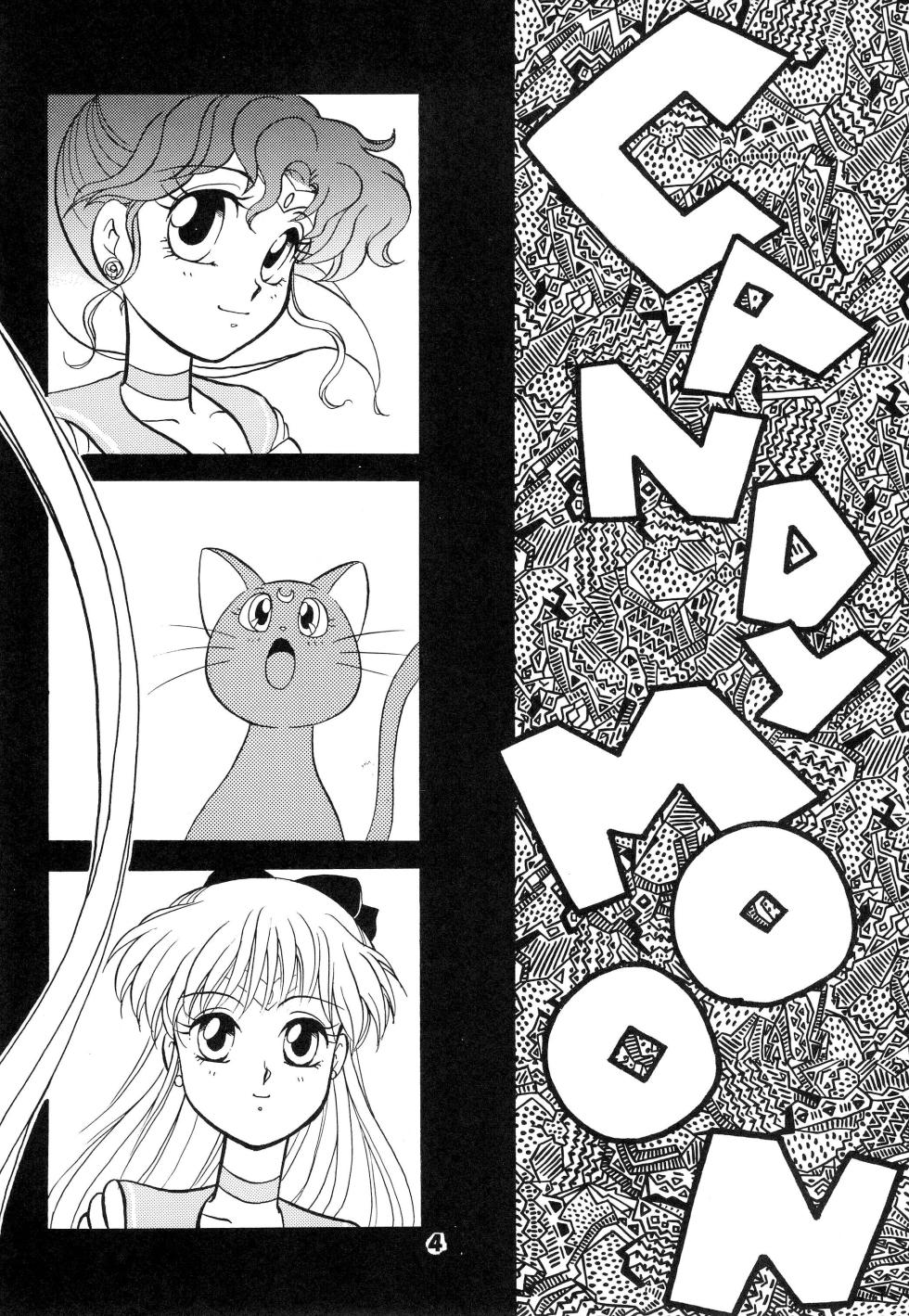 (C44) [N] CANDY MOON (Bishoujo Senshi Sailormoon) - Page 4