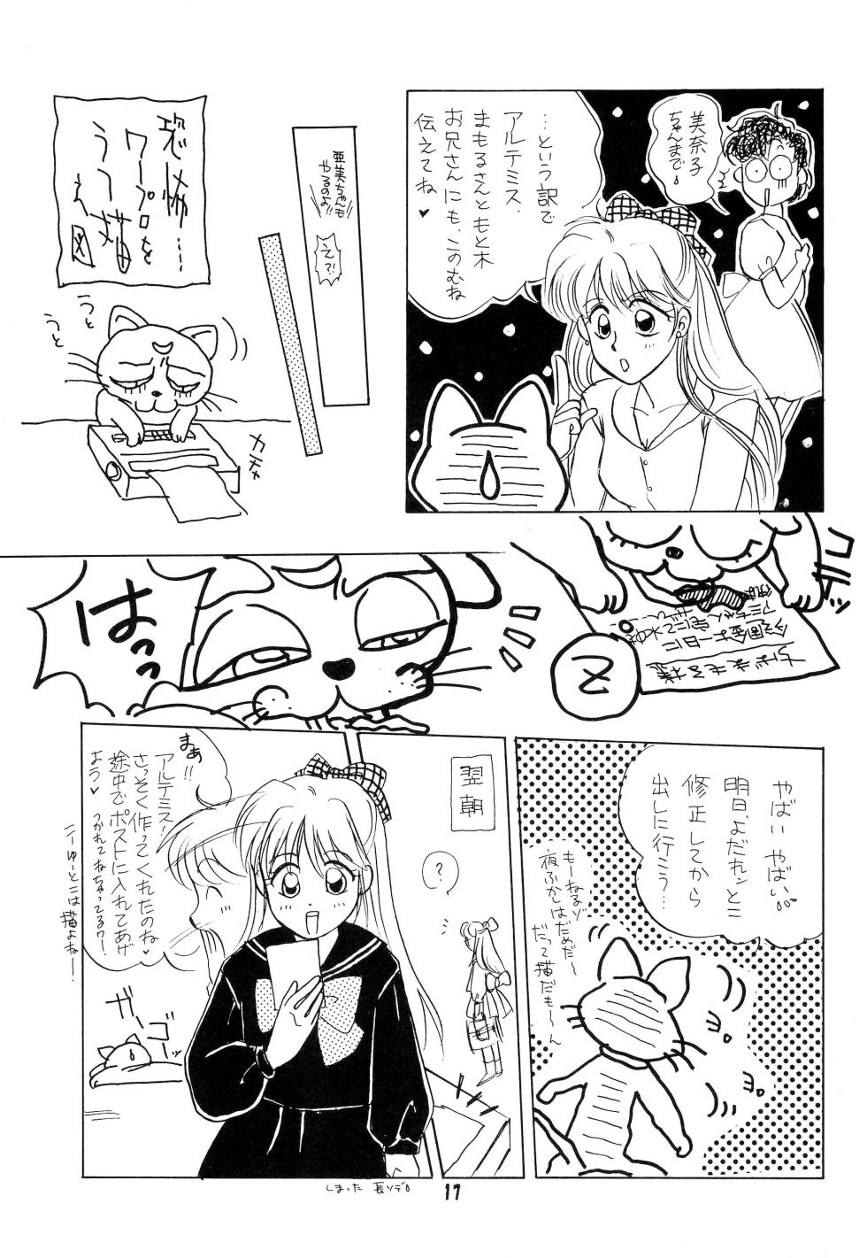 (C44) [N] CANDY MOON (Bishoujo Senshi Sailormoon) - Page 17
