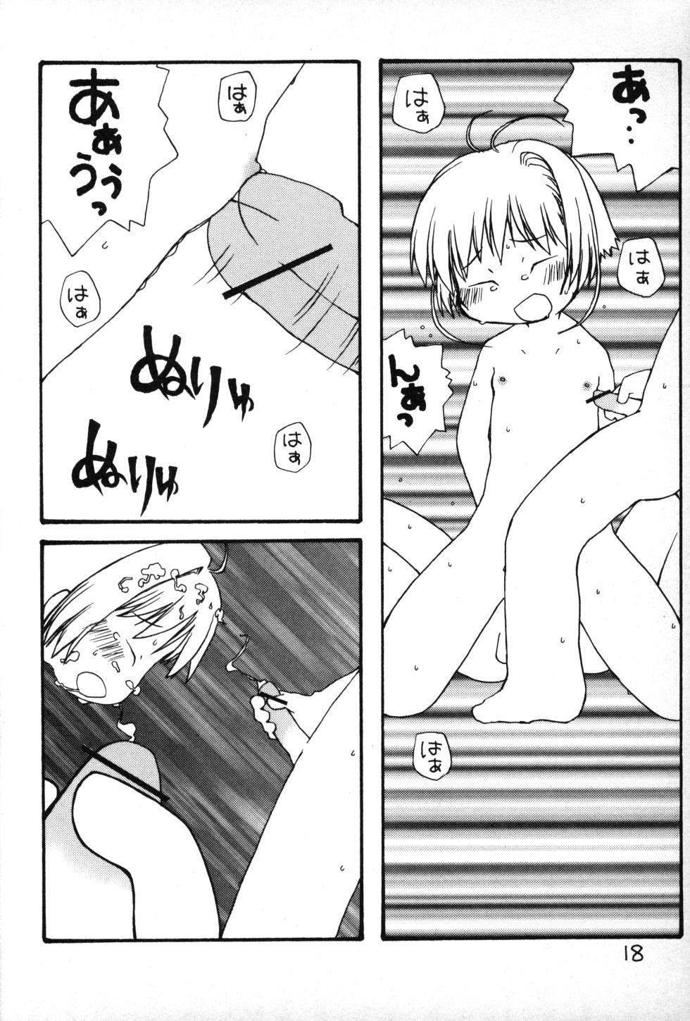 [petit (Kiiro 4-gou)] Puni Para petit 2 (Cardcaptor Sakura, Kasumin) - Page 17