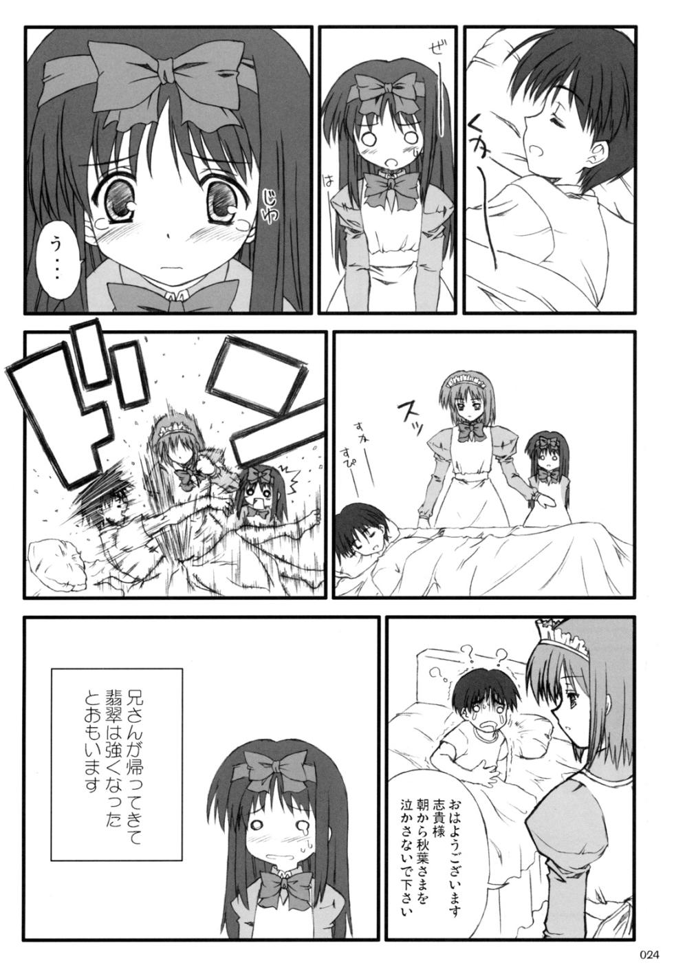 [Various (Various)] AKIHA MANIACS Hantsukiban (Tsukihime) - Page 23