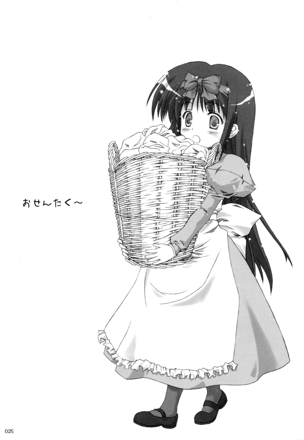 [Various (Various)] AKIHA MANIACS Hantsukiban (Tsukihime) - Page 24