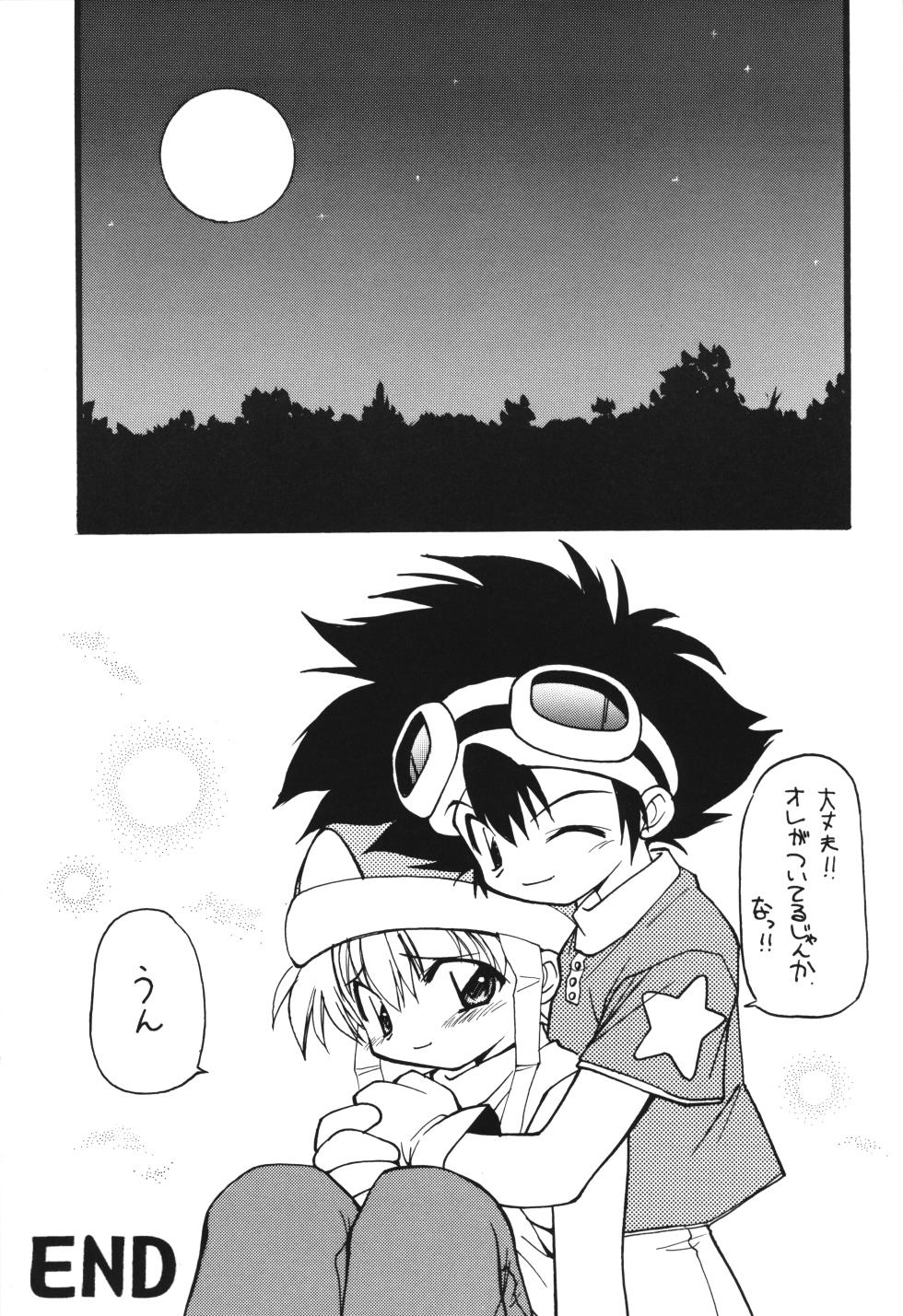 (C57) [Milky Way (Hoshikawa Kirara)] MILKYWAY (Digimon Adventure) - Page 14