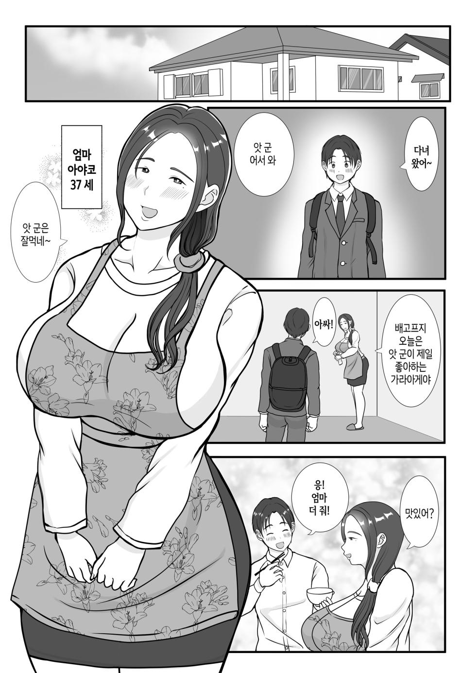 [Benii Kenkyuujo] Boku wa Haha ni Gachikoi Shiteru 1 | 나는 엄마를 진심으로 사랑했다1 [Korean] [팀 숙녀] - Page 2