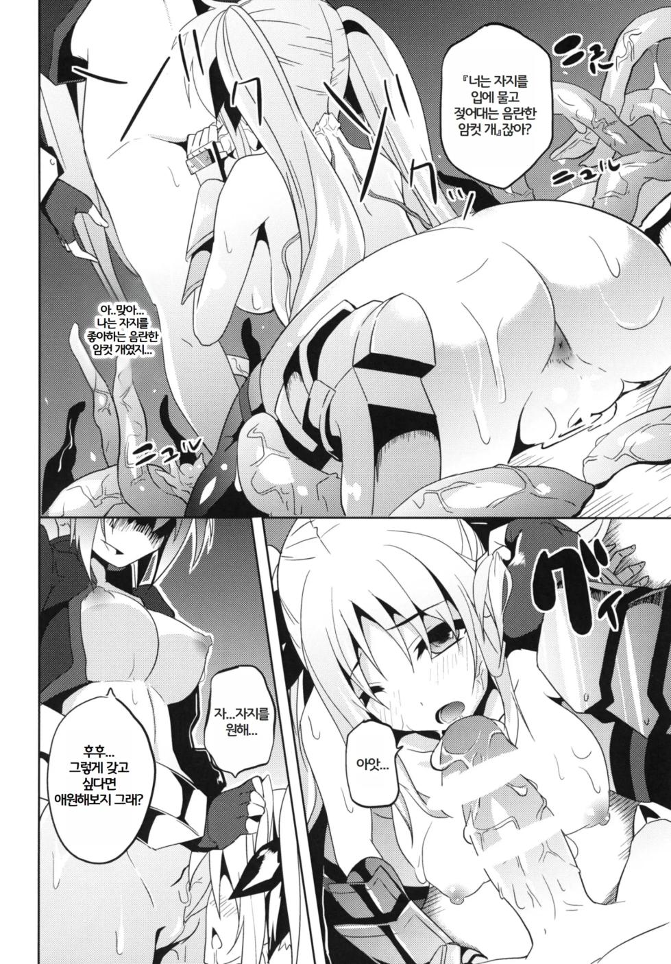 (C79) [Senpenbankashiki (Date)] OVER CRASH2 (Mahou Shoujo Lyrical Nanoha) [Korean] - Page 18