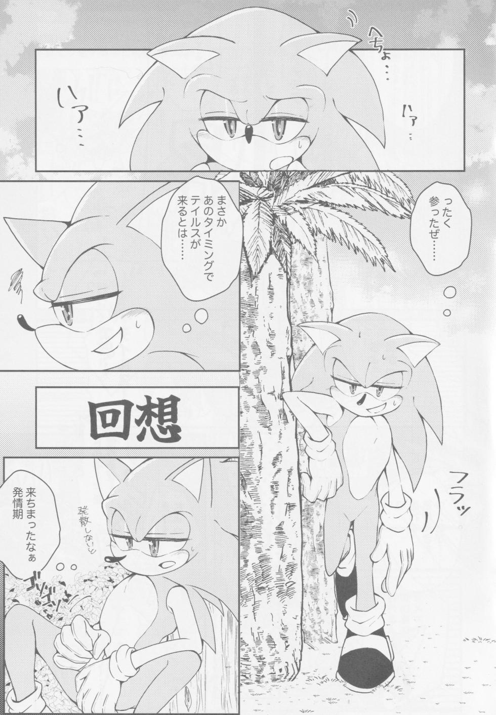 (Sega no Game wa Sekaichi System 18) [Great Escape! (kot)] Hatsujouki o Mukaeta no de Angel Island ni Hinan shitekita (Sonic the Hedgehog) - Page 4
