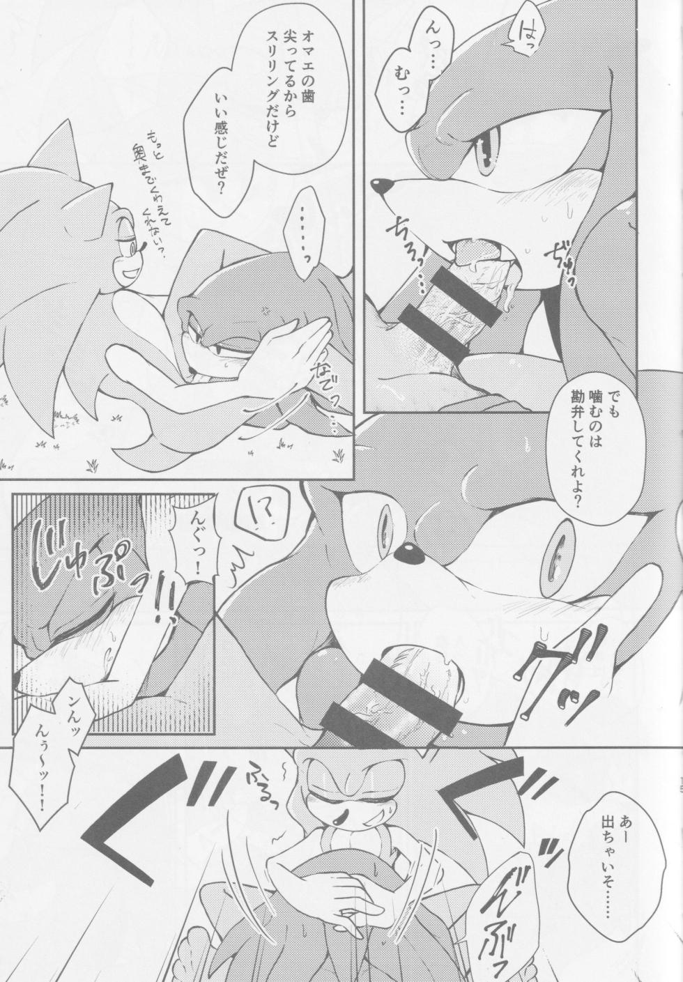 (Sega no Game wa Sekaichi System 18) [Great Escape! (kot)] Hatsujouki o Mukaeta no de Angel Island ni Hinan shitekita (Sonic the Hedgehog) - Page 14