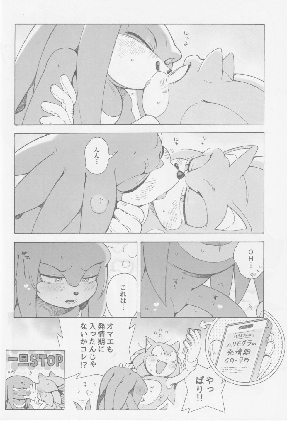 (Sega no Game wa Sekaichi System 18) [Great Escape! (kot)] Hatsujouki o Mukaeta no de Angel Island ni Hinan shitekita (Sonic the Hedgehog) - Page 37