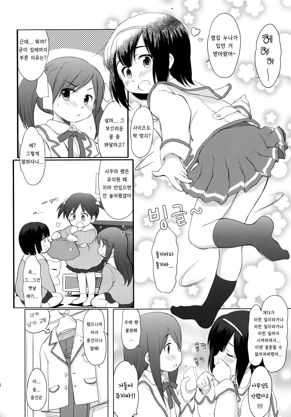 (CT19) [Wancho-ke (Wancho)] FTTH 2 Mei Tao Yin [Korean] [Democratic] - Page 3