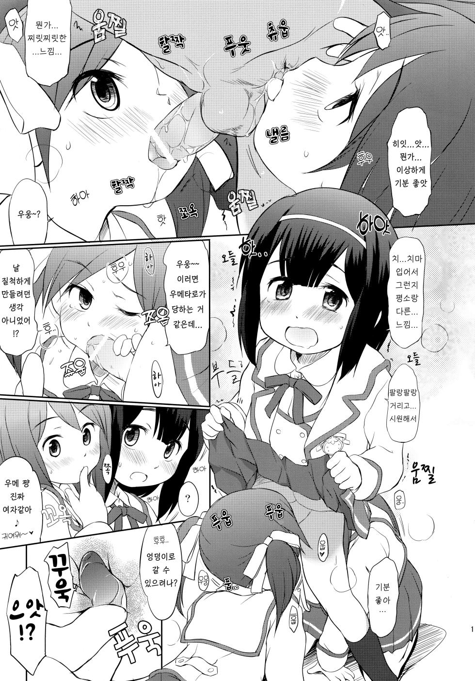 (CT19) [Wancho-ke (Wancho)] FTTH 2 Mei Tao Yin [Korean] [Democratic] - Page 10