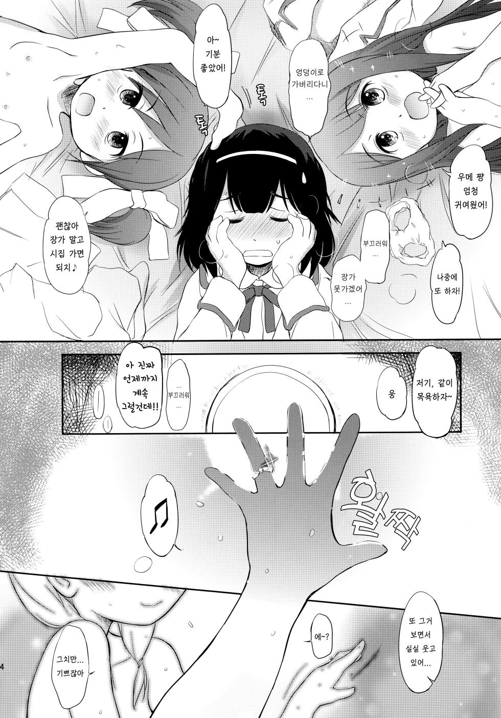 (CT19) [Wancho-ke (Wancho)] FTTH 2 Mei Tao Yin [Korean] [Democratic] - Page 23