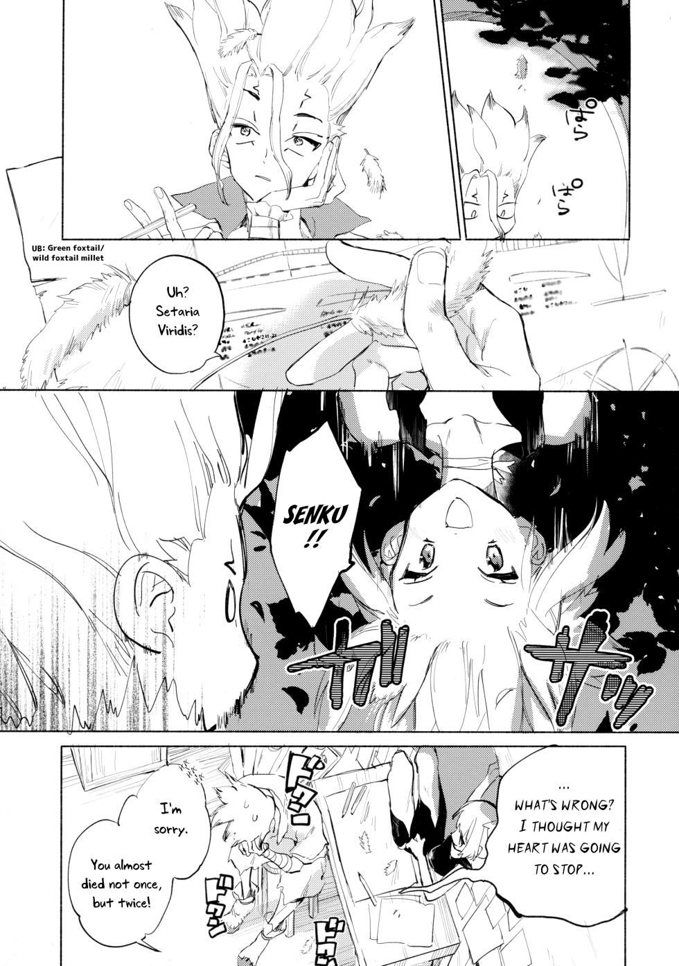 (The ROCK 2) [tcnc (Serizawa Nae)] Sekki Sekai de Mabushii Natsu (Dr. STONE) [English] [Uncle Bane] - Page 18