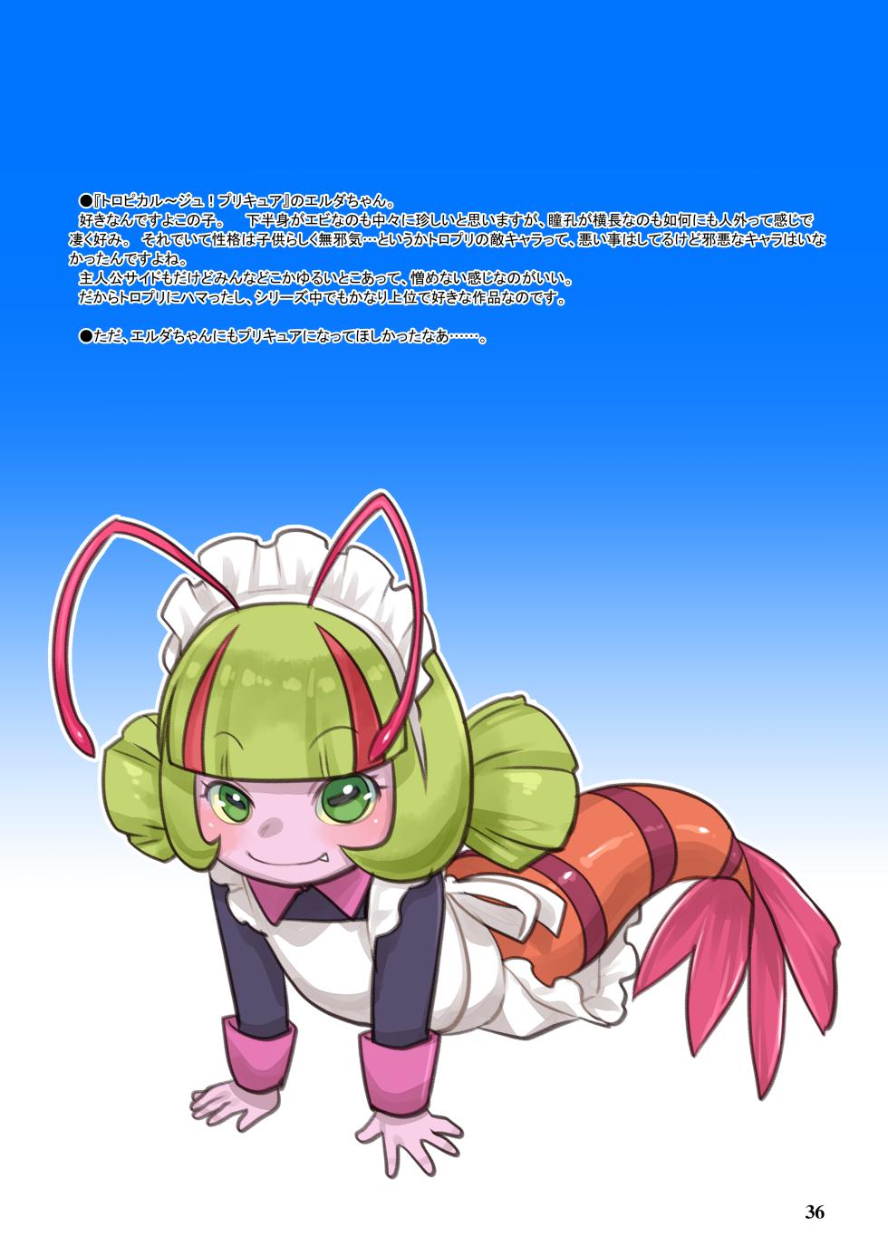 (C103) [P.A.Project (Teruki Kuma)] RKGK Works 01 (Various) [Digital] - Page 36