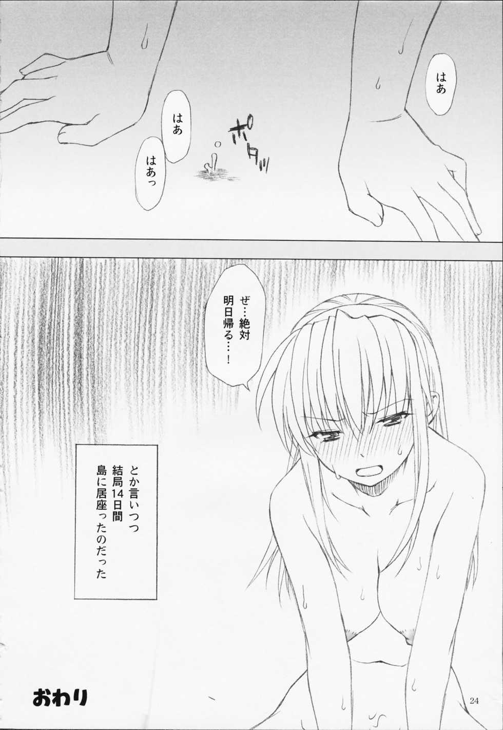 (C65) [LUNATIC WINGS (Shizaki Masayuki)] Hot Limit (Dead or Alive) - Page 25