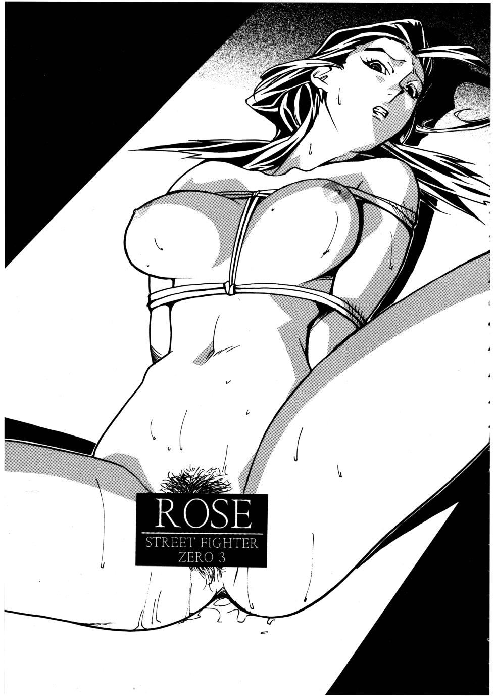 (C54) [STUDIO HUAN (Various)] PIPER 2 (Street Fighter) - Page 19