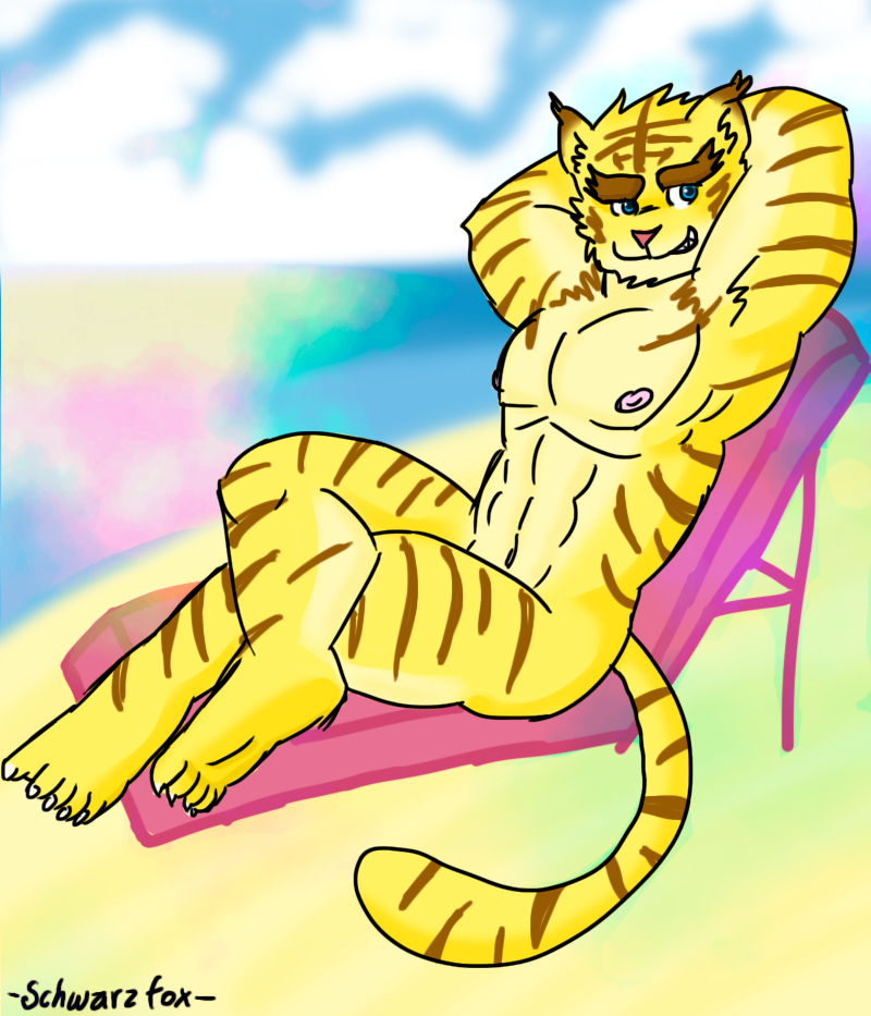 [Schwarzfox] Schwarzfox's Morenatsu Art Collection - Page 7