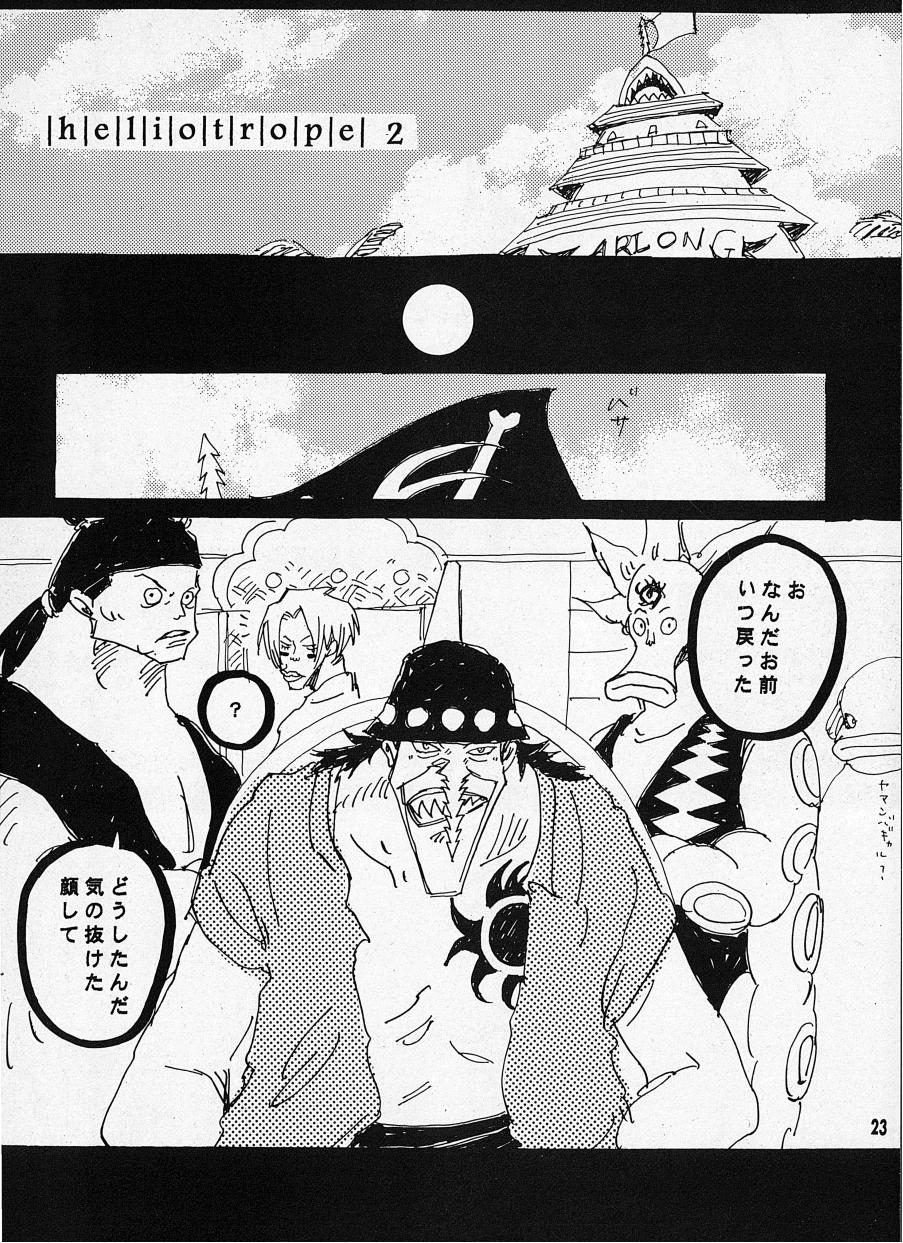 [Aozora Gundan (Hideyoshico)] Heliotrope (One Piece) - Page 24
