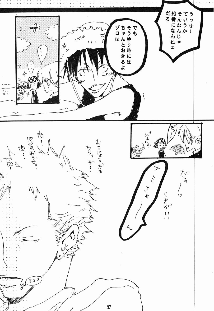 [Aozora Gundan (Hideyoshico)] Heliotrope (One Piece) - Page 28